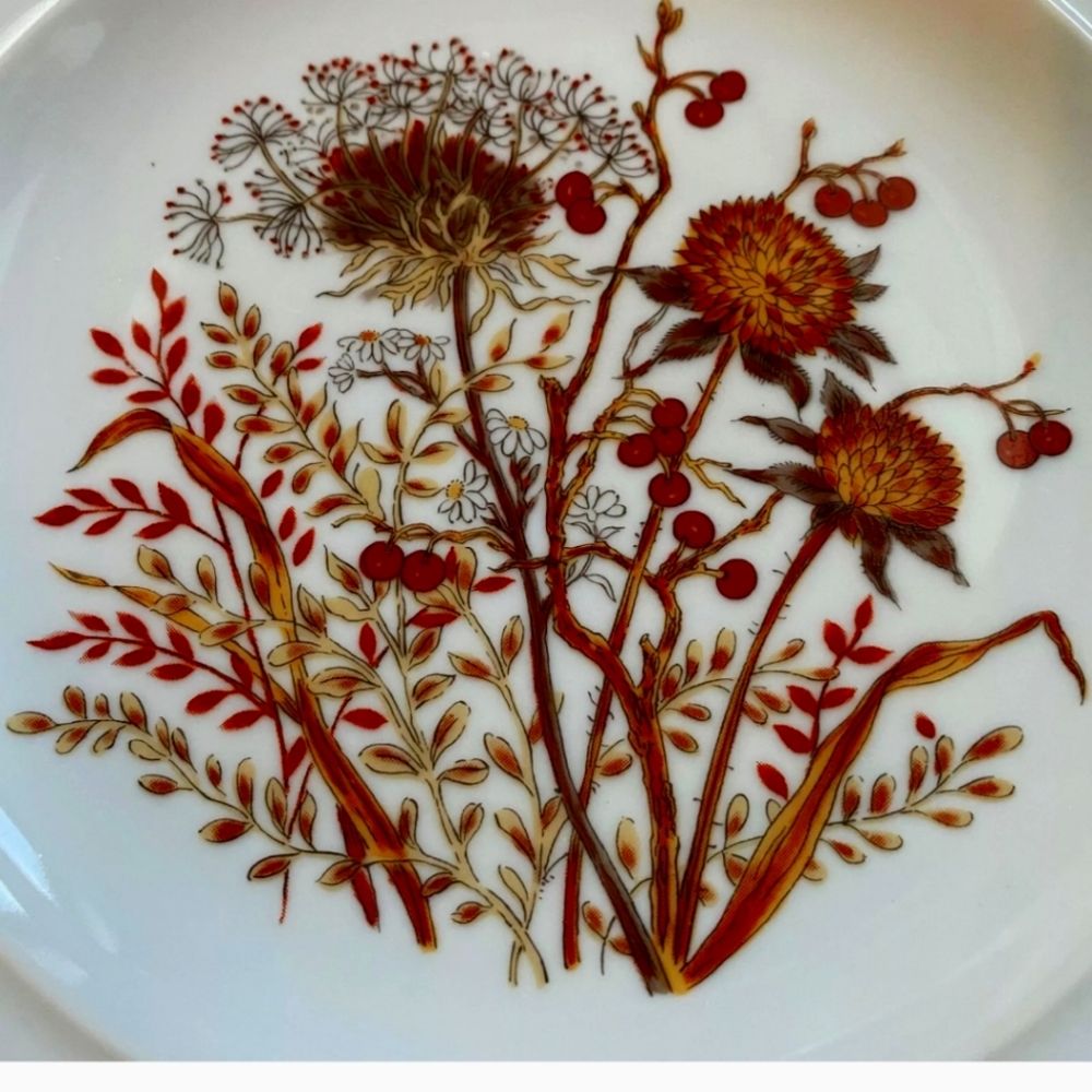 Bramble "Fanci Floral Collection" Set of 4 Porcelain Plates
